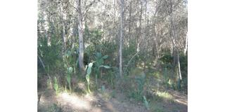 Terreny residencial  Poligono 20. Ref   16617terreno  en venta en sagunto, de 4700 m, zona monte,