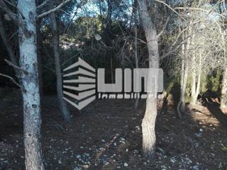 Wohngrundstück  Urb els tarongers. Ref   19949terreno  en venta en albalat dels tarongers, de 1800