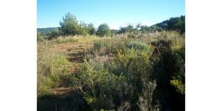 Wohngrundstück  Albalat dels tarongers. Ref   16572terreno  en venta en albalat dels tarongers, de 9750