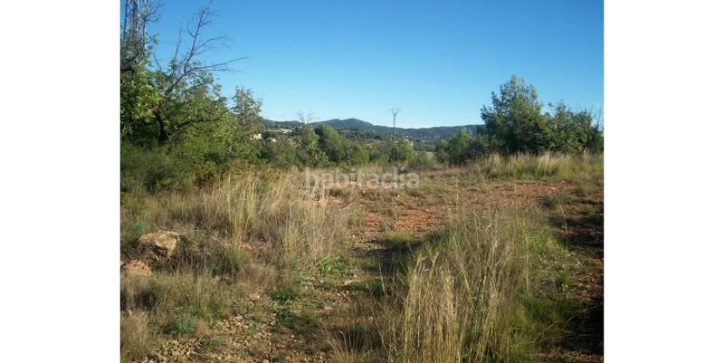 Foto 208561bf-1c27-4c0e-82ac-3db5ebe59b6d. Residential plot in Albalat dels Tarongers