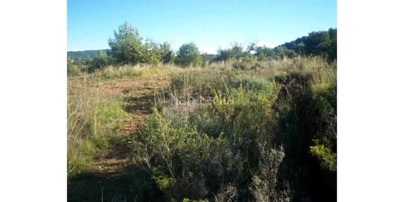 Foto 6571b5bb-9767-4e6e-b1bf-352167721bff. Residential plot in Albalat dels Tarongers