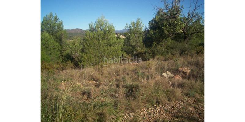 Foto b537794e-b4be-48a2-a6fb-7ffbffaa6bcc. Residential plot in Albalat dels Tarongers