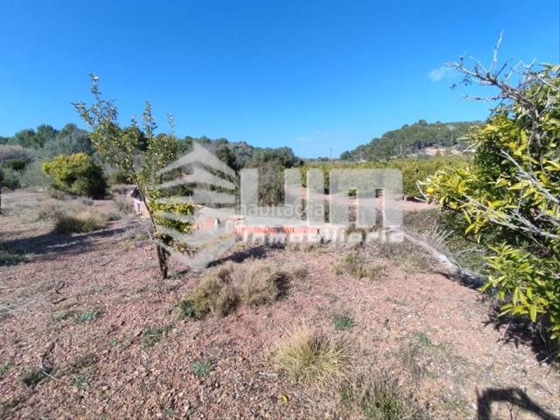 Foto 4b89ed77-18d6-4b21-a71f-341237925e20. Wohngrundstück in Estivella