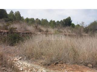 Residential Plot  Carrer de sant josep. Ref   19259terreno  en venta en albalat dels tarongers, de 7642