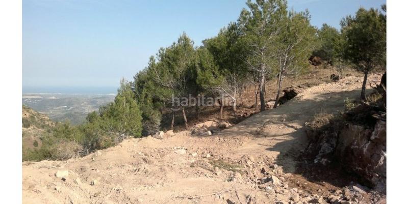 Foto bd9fa901-a03f-48e8-84c0-5629cbb8fb24. Terreno residenziale in Segart