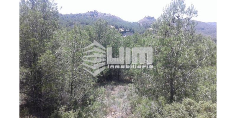 Foto 4d01b483-a572-4952-a1f5-4245003e7ed1. Terreny residencial a Segart