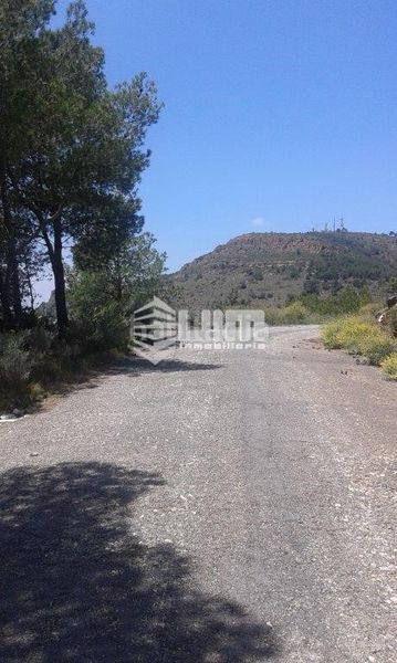 Foto dee26906-bf2b-4a85-bf30-308d8a5a60a7. Terreny residencial a Segart