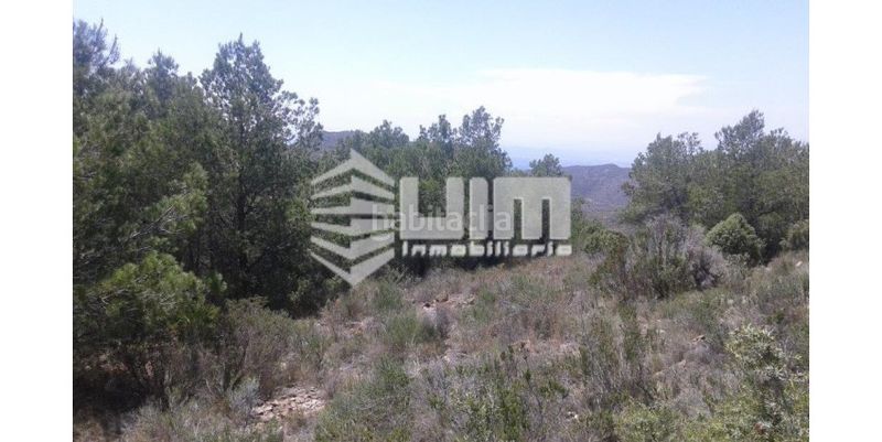 Foto 9fa99a5a-4b24-412b-8084-95baf73f3286. Terreny residencial a Segart
