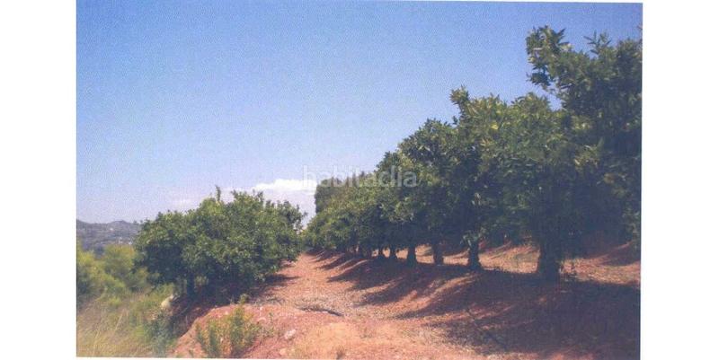 Foto bc54cb4a-bae0-4c38-8713-0184ed07899e. Terreny residencial a Algímia de Alfara