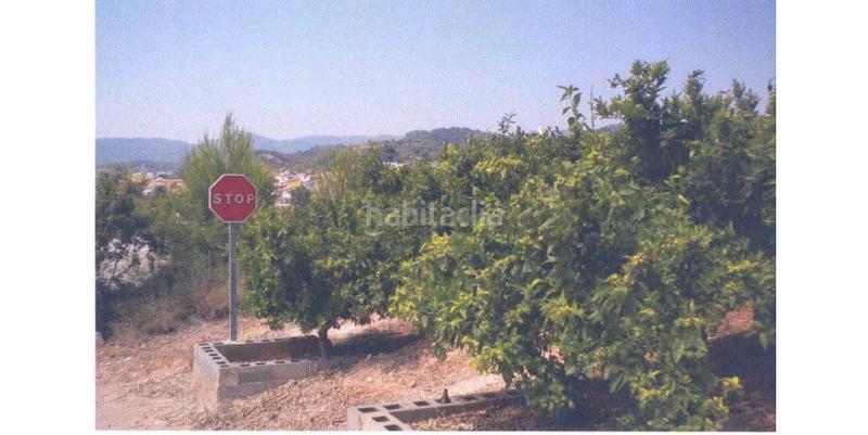 Foto c42ea265-b46f-40b1-a2ba-d97aabc6ee3b. Terreny residencial a Algímia de Alfara