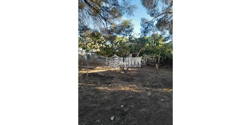 Foto b1cd9c4e-255f-440e-83f7-9f66c6d397fa. Xalet a Doctor Palos - Alto Palancia Sagunt