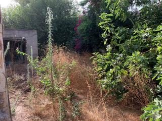 Terrain résidentiel à San Benito - Patiño