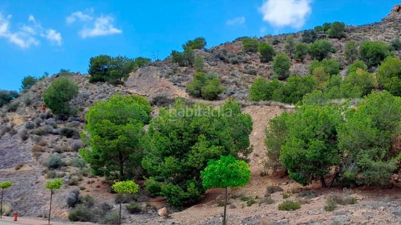 Foto 768a4e5c-2e47-45ad-af17-57023f95f893. Terreno residenziale in Montepinar - La Aparecida - Raiguero Orihuela