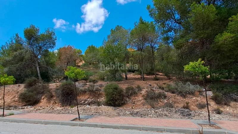 Foto d962a5c9-5b0a-46f0-b84f-1303d5e00545. Terreno residenziale in Montepinar - La Aparecida - Raiguero Orihuela