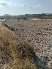 Finca rústica a N/a. Terreno en venta en camino alquibla - los llanos s/n, murcia
