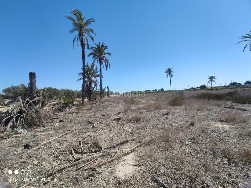 Foto 937635df-23b7-4d0c-a89d-bbb596529836. Casa pareada  a 5 minutos de elche en Elche / Elx