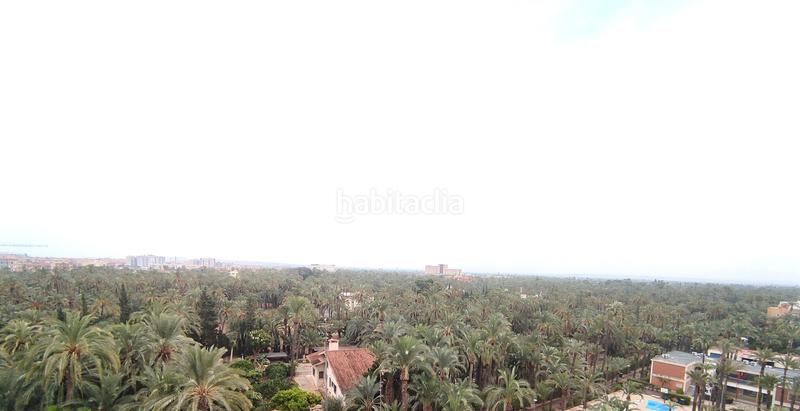Foto 5e17d02d-7c87-4033-b9d8-301a46423c35. Alquiler piso  exterior con vistas a las palmeras en Elche / Elx