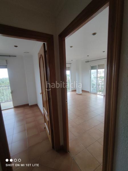 Foto 7332d601-dabe-4f5a-8fff-ce05b6694d4f. Alquiler piso  exterior con vistas a las palmeras en Elche / Elx