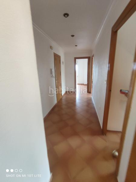 Foto d63ba58b-a8aa-4527-ab78-44c28f38bad3. Alquiler piso  exterior con vistas a las palmeras en Elche / Elx