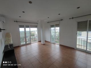 Location Appartement à Centro. Piso exterior con vistas a las palmeras