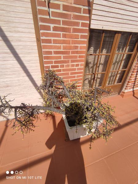 Foto 87a93145-2cad-4849-bce4-ec9baf4b0214. Àtic a Playa Levante Santa Pola