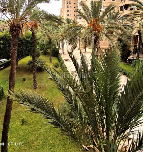 Foto 579e1d45-2577-4773-82e4-6bad741c3ca0. Pis a Centro Elche / Elx