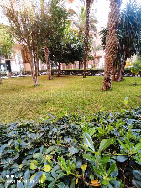 Foto 5dab2a0a-d8a0-4f12-b0db-2a3b62b92d01. Pis a Centro Elche / Elx