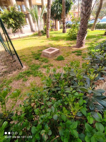 Foto b82dff70-35e8-495c-b149-f0ad9fd29537. Pis a Centro Elche / Elx