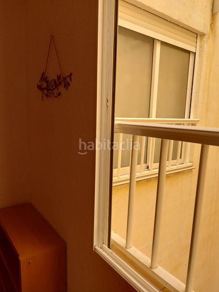 Foto dfa453f1-b310-4a78-9c0f-67109ec88229. Pis a Centro Elche / Elx