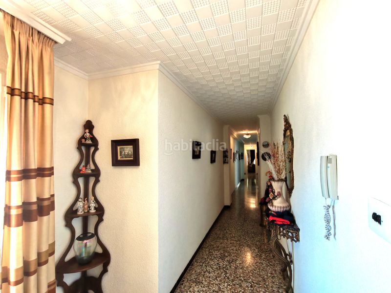 Foto 67473280-4484-412b-bf87-23333d2882aa. Pis a Centro Elche / Elx
