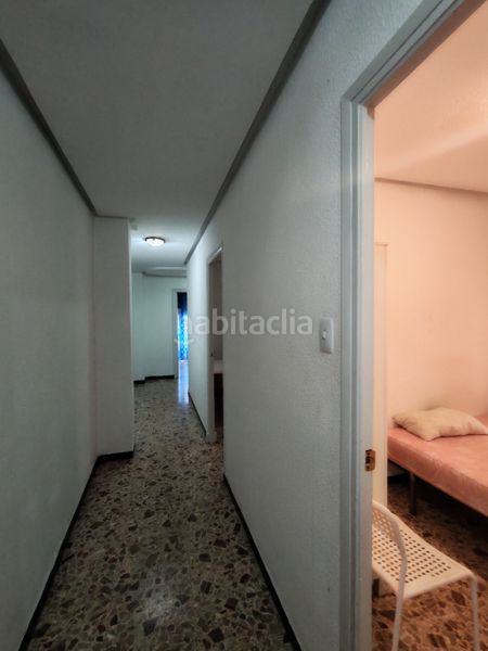 Foto 68292d43-4b6a-4647-ae63-30db0e345c87. Pis a Centro Elche / Elx