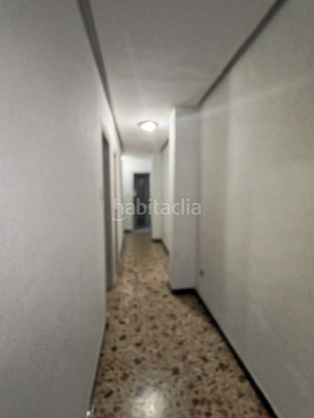Foto eaf91555-7ac7-4d86-ba73-a59e27ff92ce. Pis a Centro Elche / Elx