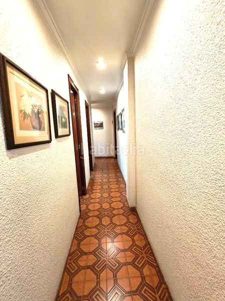 Foto ef8d407b-9605-45a7-be94-b03ef2609dab. Pis a Centro Elche / Elx
