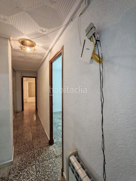 Foto 9b5f0fb4-26eb-4a9f-8cee-6904ce3fbb5c. Pis a Carrús Este Elche / Elx