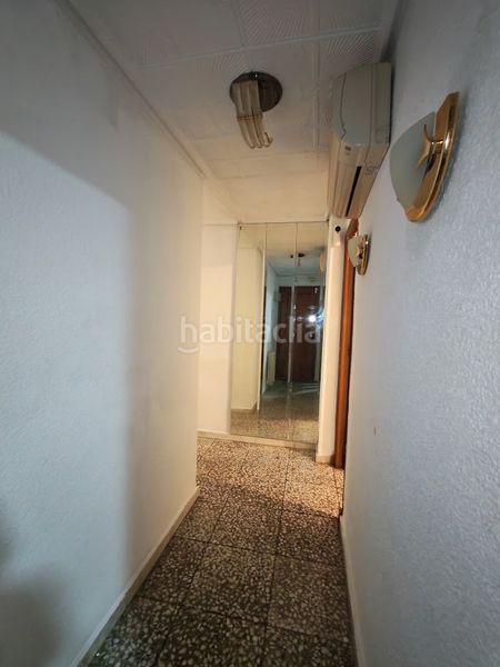 Foto d1674a65-d284-4280-a6fb-0e9e1f76ffa3. Pis a Carrús Este Elche / Elx