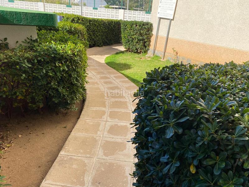 Foto 0ea0f636-aab0-4432-8899-f96e2fb33ffc. Alquiler apartamento temporal en Playa de Gandía Gandia