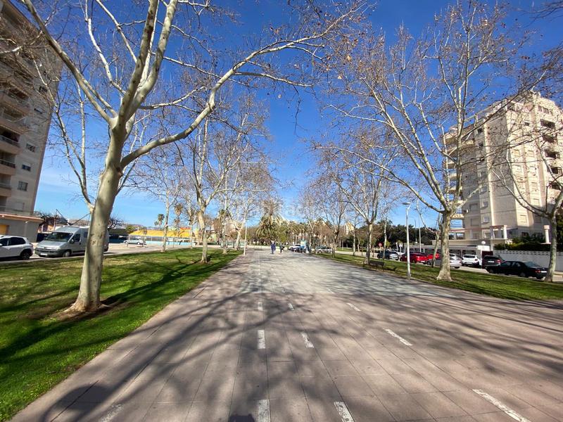 Foto 59433b33-2442-4a03-b5e8-3b4de6e562a8. Alquiler apartamento temporal en Playa de Gandía Gandia
