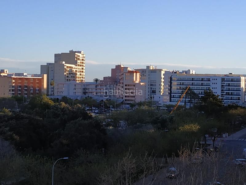 Foto dddd2da4-ccf4-4d30-98f9-013454b606cb. Alquiler apartamento temporal en Playa de Gandía Gandia