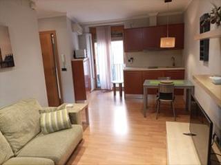 Location Appartement  Carrer dels burguerins