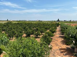 Finca rústica a N/a