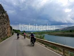 Foto 5cfc84d7-facf-45f9-a701-9b31815957c7. Local comercial a Benimodo