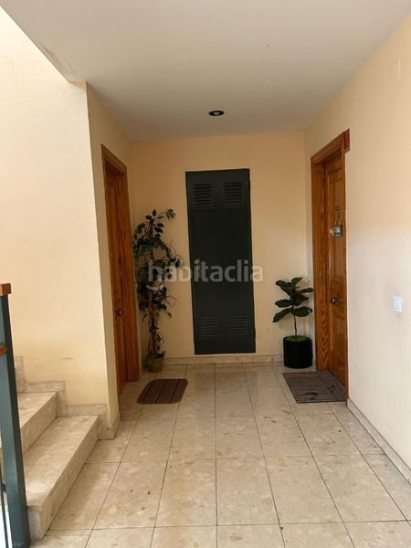 Foto 0133d096-c59c-45c0-8d14-3a04aeac4ca0. Pis a Massalavés