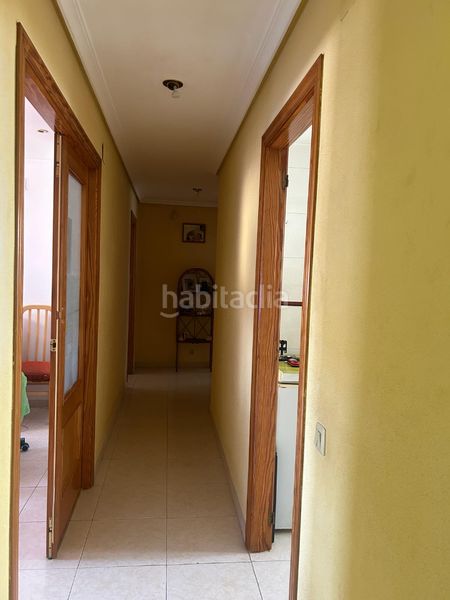 Foto 77a62ceb-7bf2-465a-bb9a-1647c8755838. Pis a Massalavés