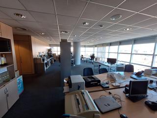 Oficina a Creu Alta. Fantasticas oficinas en eix macià