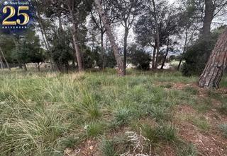 Terrain résidentiel à San Pere. Solar en venta
