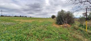 Propriété à Centre. Gran terreno rustico en sabadell