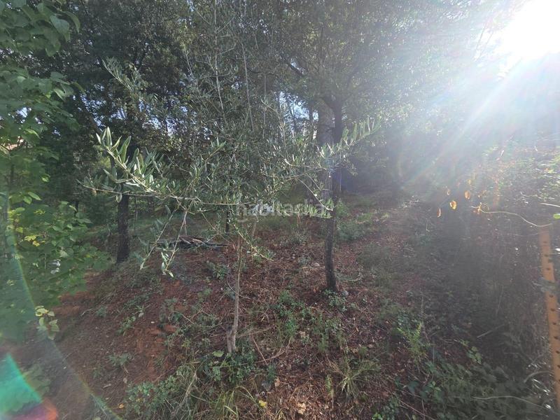 Foto 9851cda5-cbda-4bd0-ad64-278c1a8cb301. Terreno residenziale in Airesol Castellar del Vallès