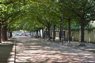 Rent Flat in Torreblanca. Para estudiantes