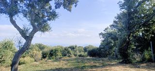Terreny residencial  Carrer terma. Parcela con vistas